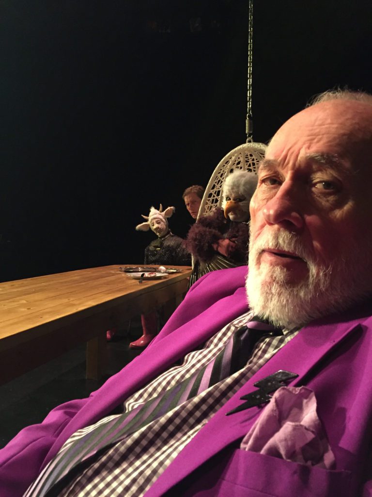 In the foreground, an older man in a magenta suit looks at the camera. In the background, an odd trio sit at a long table. Behind him, seated at a long table, is an eagle in a t-shirt sitting in a hanging wicker chair. Peaking from behind the chair is a man in a white shirt. Next to him is a cow in a dress.