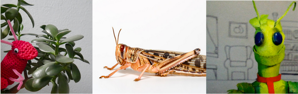 Three panels from left to right: a pink crocheted with a googly eye grasshopper sits in a jade plant. A brown grasshopper against a white background. The head of a smiling toy grasshopper wearing a red tie is in front of a line drawing of a living room.
