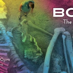 The Narrators: Bones