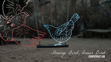Dark photo of a swing, with drawings of birds in blue and red on top of the photo.