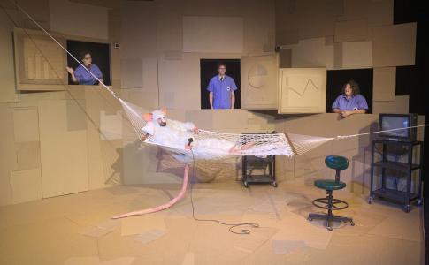 A giant Rat is in a cardboard enclosure laying in a rope hammock with a microphone on his lap.  There is a television on a cart, a tall green rolling chair, and another cart with papers on it.  In the walls of the cardboard enclosure there are 3 windows.  Three scientists are seated in the windows and next to them are cardboard graphs showing weird sciency stuff.