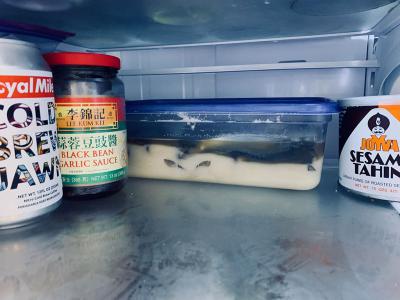 The inside of a fridge with some jars and a Tupperware with a layer of white and a layer of liquid with fish floating in it. 