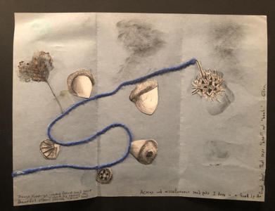 A collage with a squiggly piece of blue yarn and cutout drawing of leaves, acorns, and seashells attached to it.
