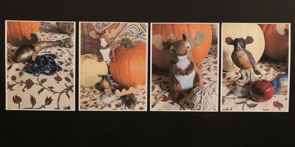 Fishoose, Robinoose and Squioose- A series of four pictures on a a flowered background. In the first is a fish-looking object with cardboard moose antlers and a string of blue beads. There is a pumpkin in the background. In the second is a collection of creatures wearing cardboard moose antlers on and in front of pumpkins. In the third picture, a stuffed squirrel with cardboard moose antlers and a small crocheted ball are in front of an orange pumpkin. The final picture has a small bird figurine wearing cardboard antlers.