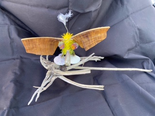 Banana-winged shell shocker-A creature made of driftwood sits on a blue fabric background. It has a yellow furry face with large flat ears and pink eyes.